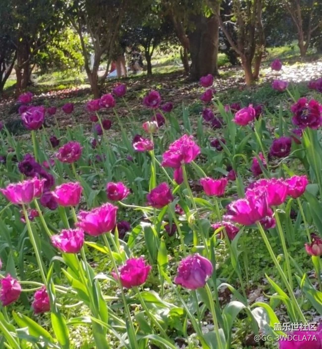 【徒步所見(jiàn)】春游園