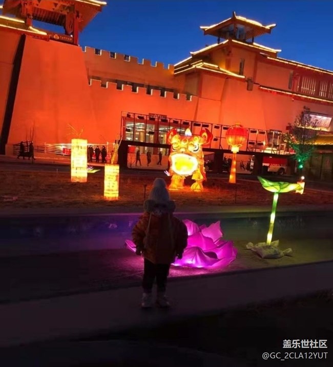 【徒步所見】賞花燈