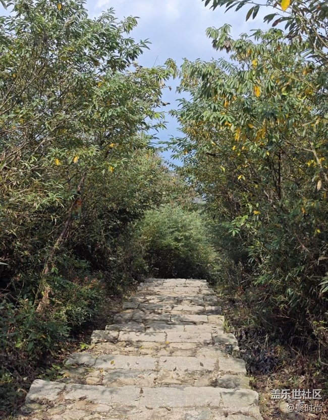 【徒步所見】上山