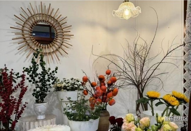 【徒步所見】熱愛生活