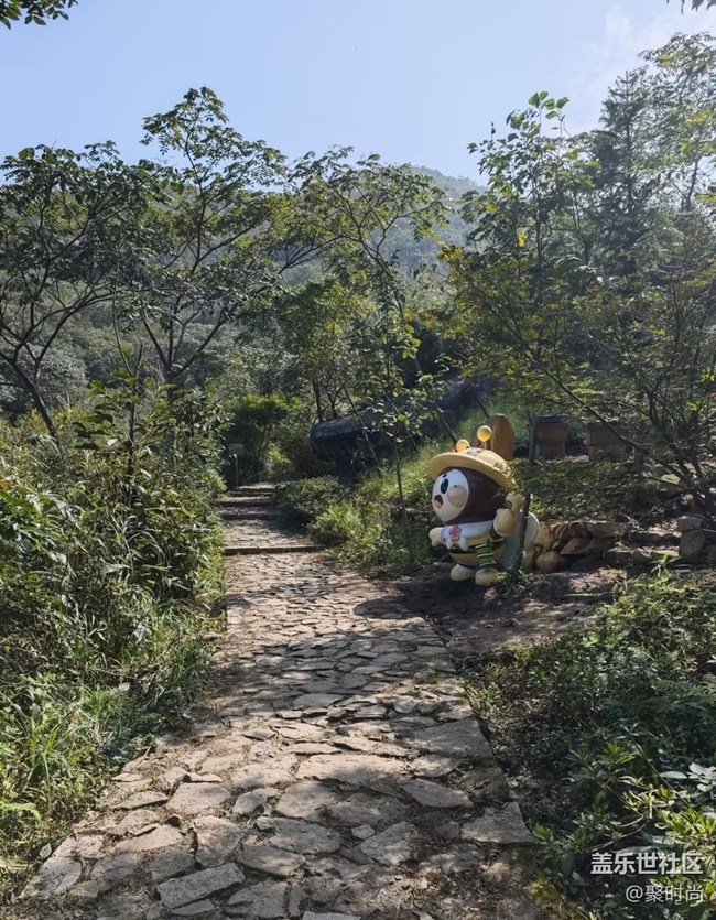 【徒步所見】上山