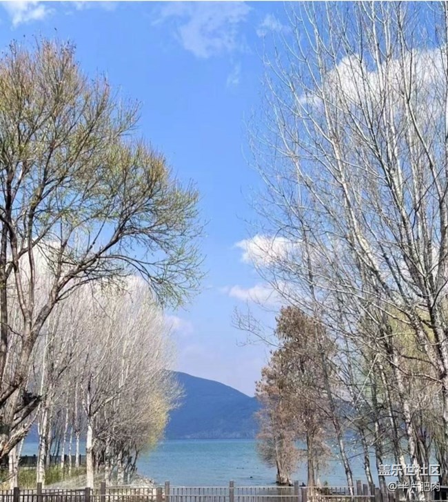 【徒步所見】隨寫