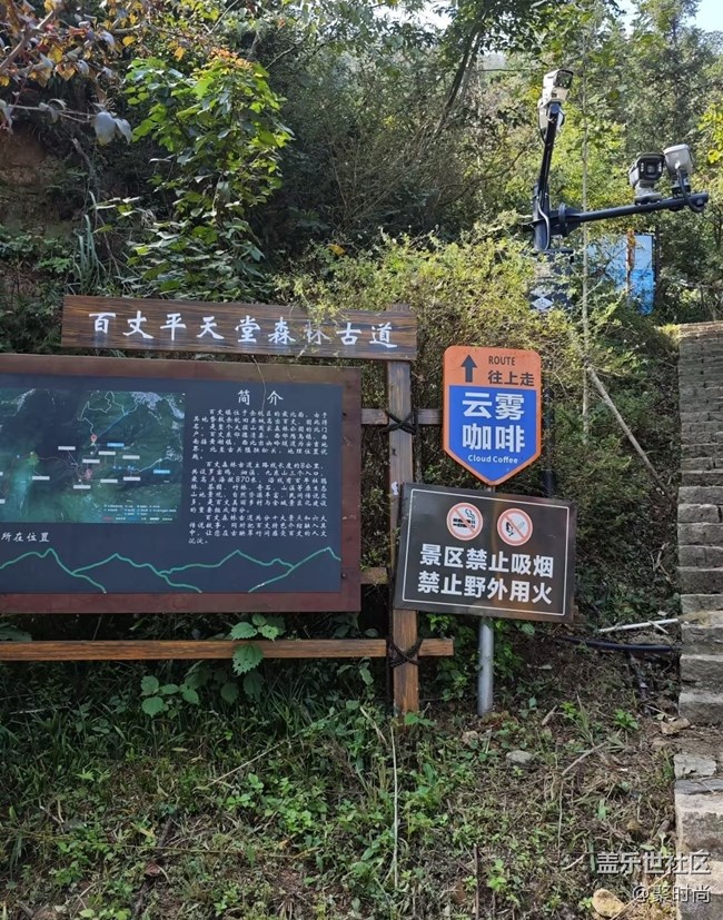 【徒步所見】上山