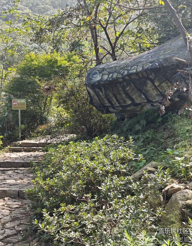 【徒步所見】上山