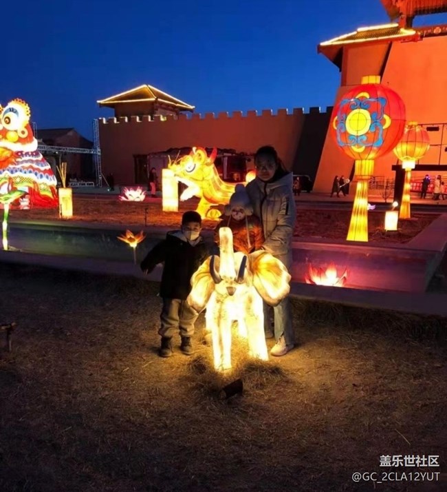 【徒步所見】賞花燈