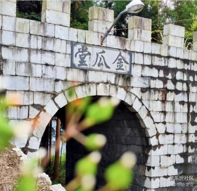 【徒步所見】一抹綠