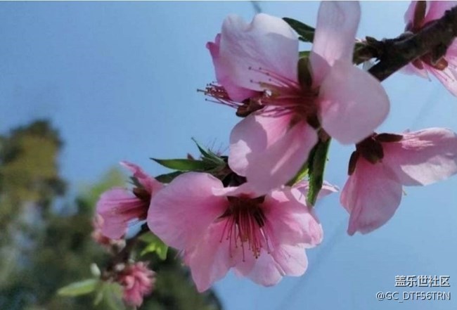 【徒步所見】家鄉(xiāng)春季