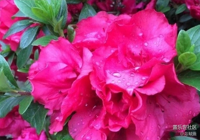 【徒步所見】雨后