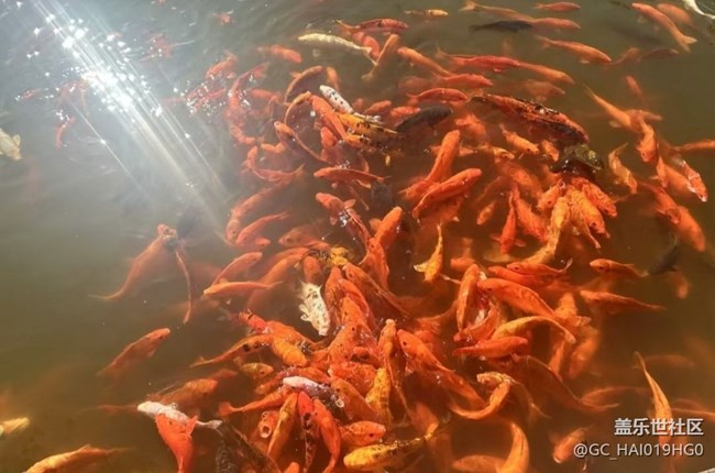 【徒步所見】暖春