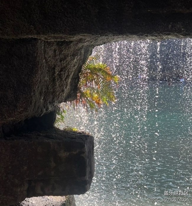 【徒步所見】去踏青