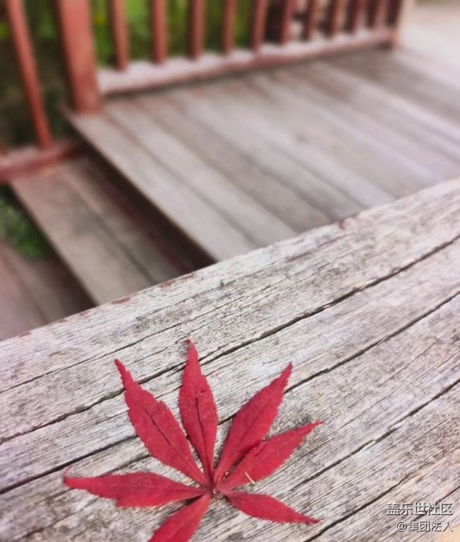 【徒步所見】賞春花