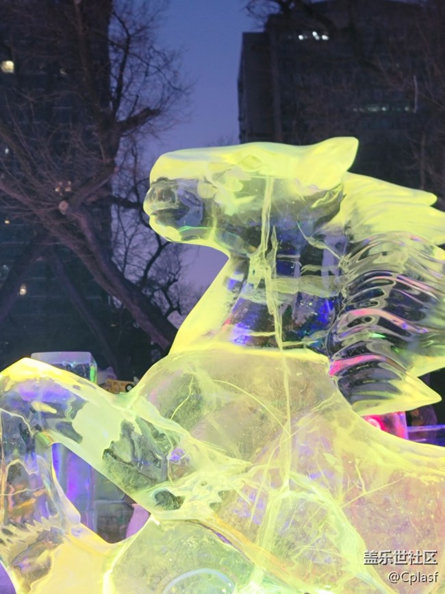 【活動(dòng)回顧】華燈初上 兆麟公園賞冰燈活動(dòng)回顧