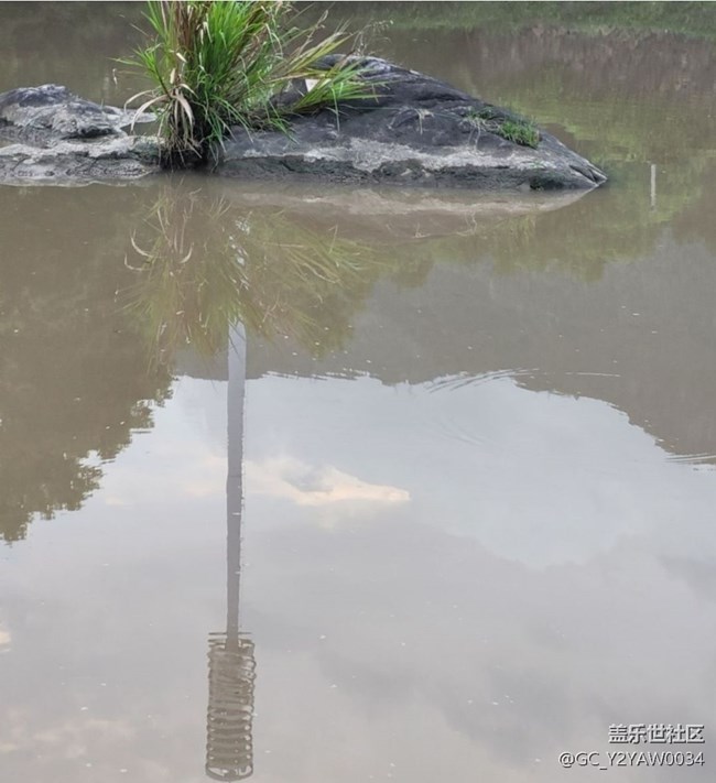 【徒步所見】漫步