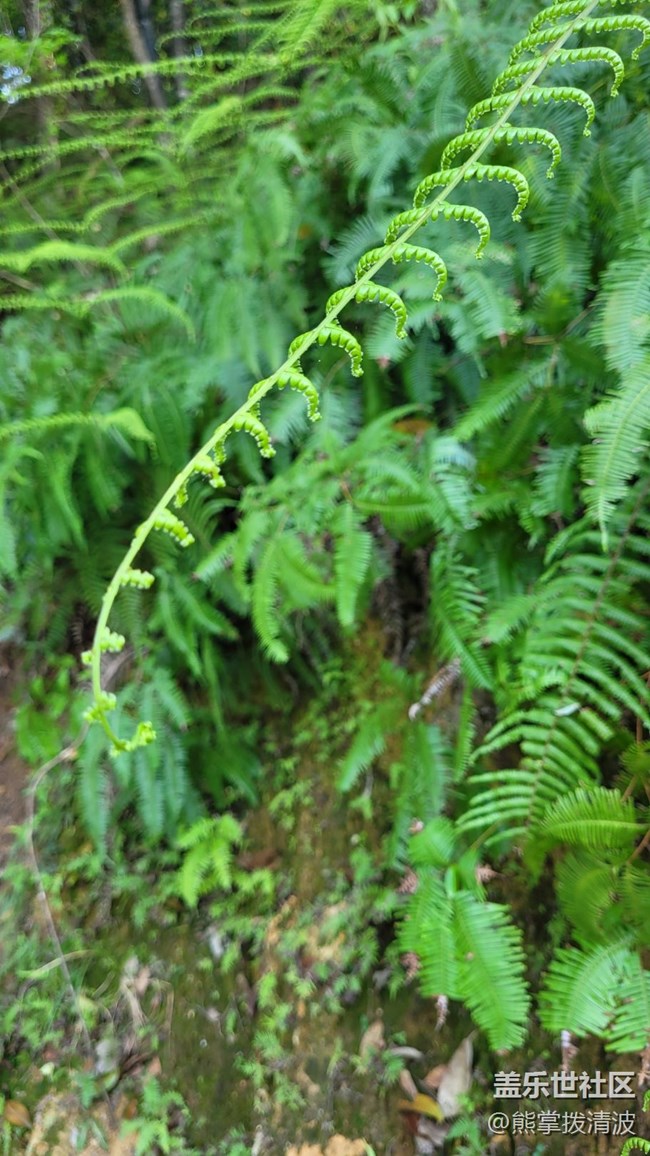 【徒步所見(jiàn)】生機(jī)勃勃