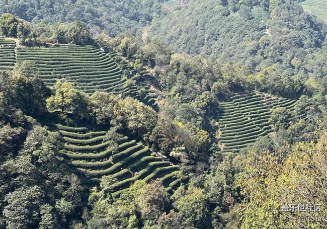 【徒步所見】戶外