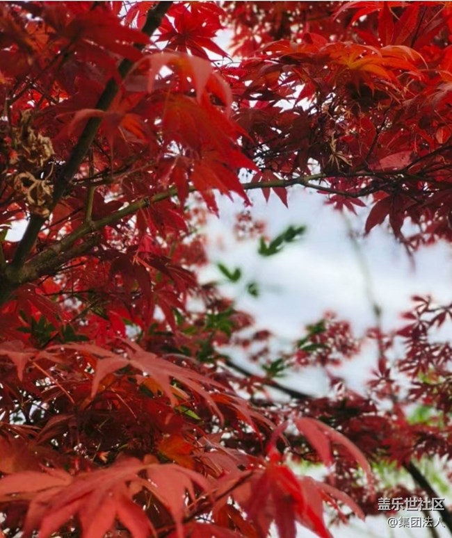 【徒步所見】賞春花