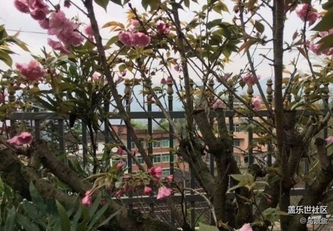 【徒步所見】雨后