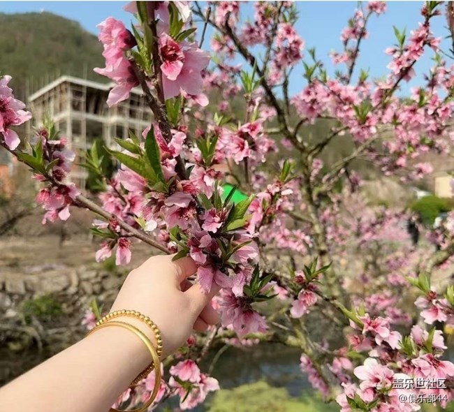【徒步所見】桃花塢