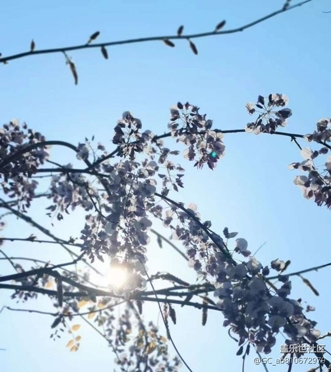 【徒步所見】滿園春色