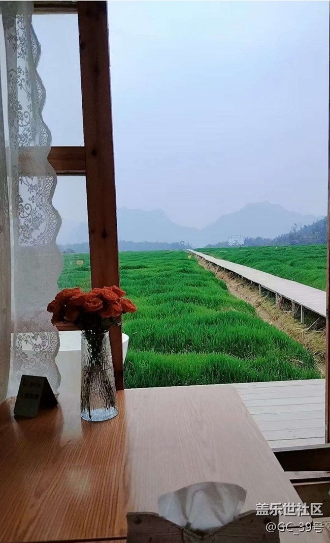 【徒步所見】麥田