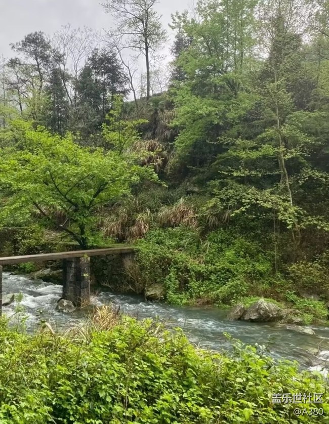 【徒步所見】春意盎然