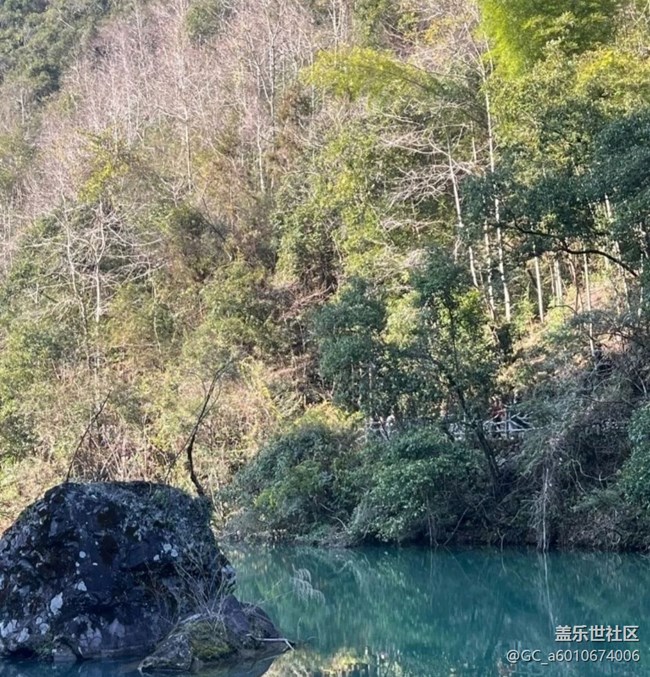 【徒步所見】去踏青