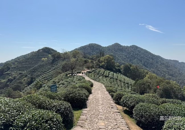 【徒步所見】戶外