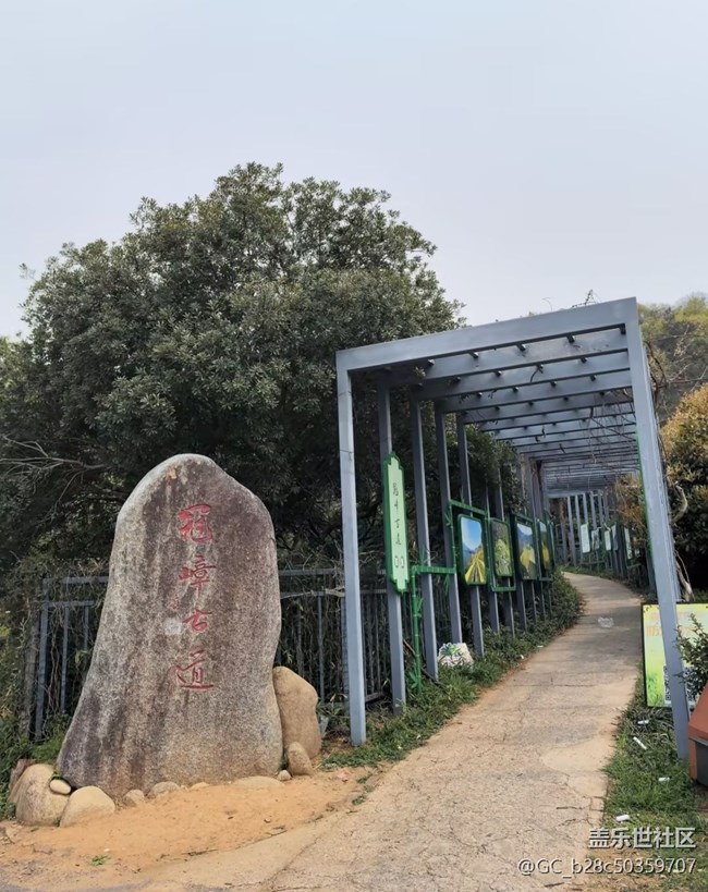 【徒步所見】爬爬山