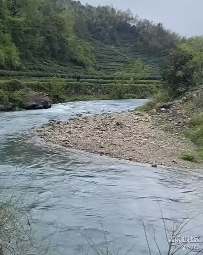 【徒步所見】春意盎然