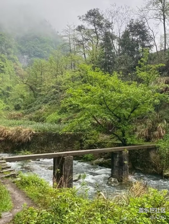 【徒步所見】春意盎然