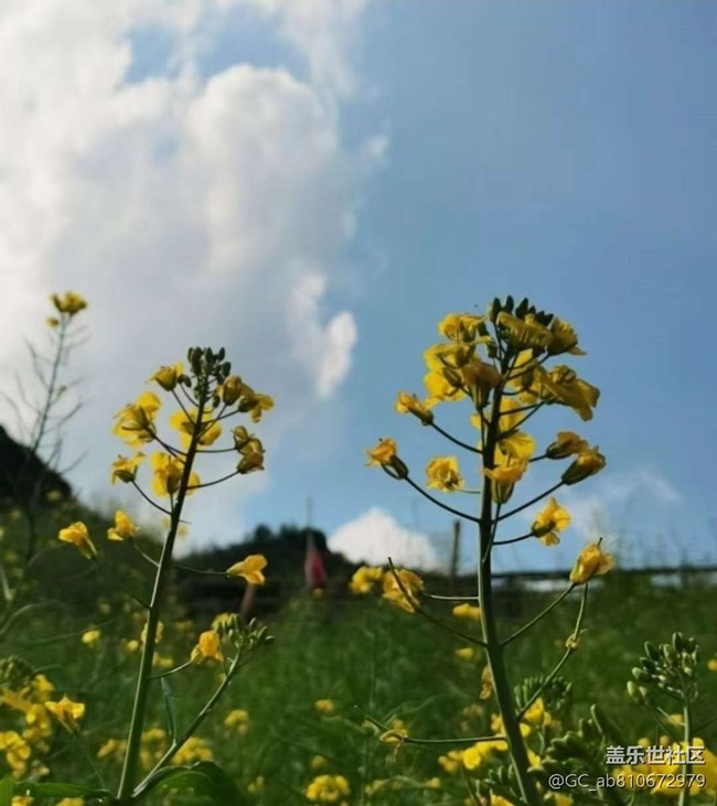 【徒步所見】滿園春色