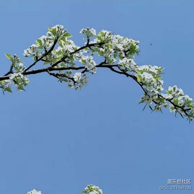 【徒步所見】家鄉(xiāng)春季