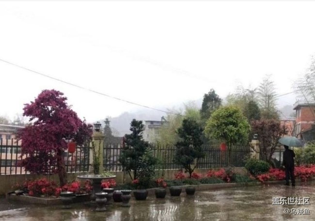 【徒步所見】雨后