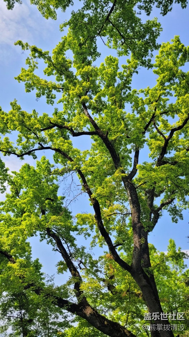 【徒步所見(jiàn)】生機(jī)勃勃