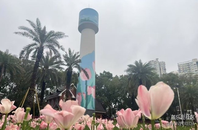 【徒步所見(jiàn)】郁金香