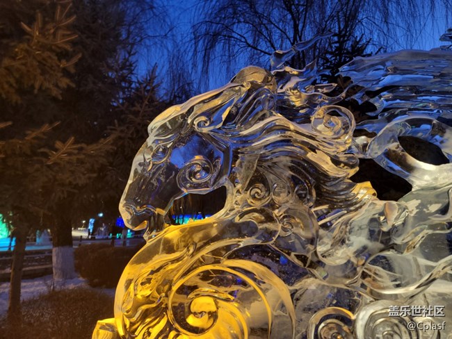 【活動(dòng)回顧】華燈初上 兆麟公園賞冰燈活動(dòng)回顧