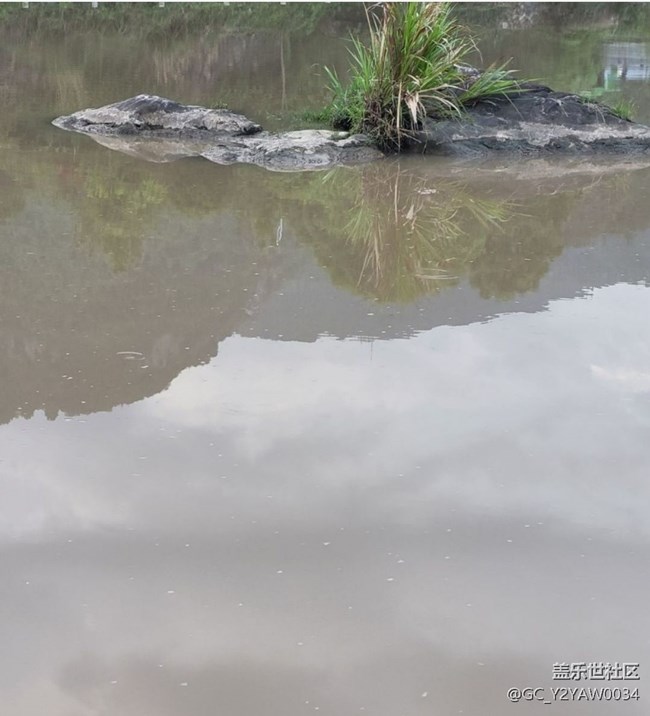 【徒步所見】漫步