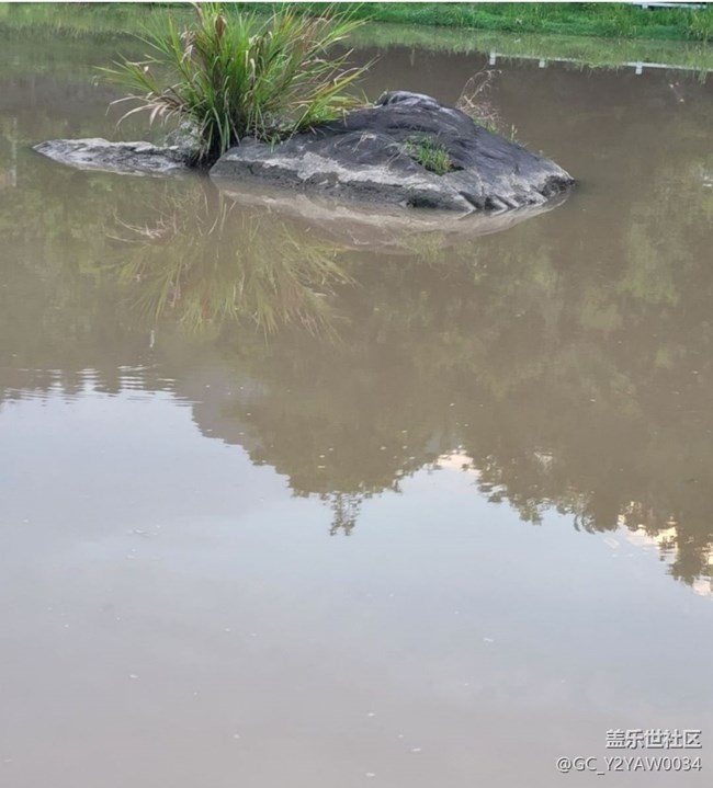 【徒步所見】漫步