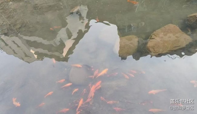 【徒步所見】家門口