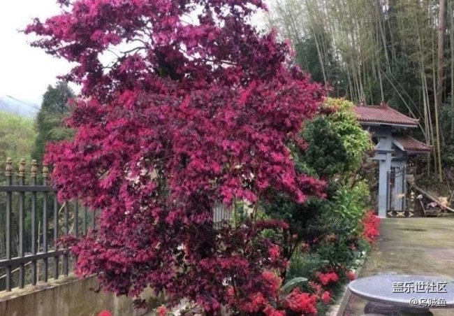 【徒步所見】雨后