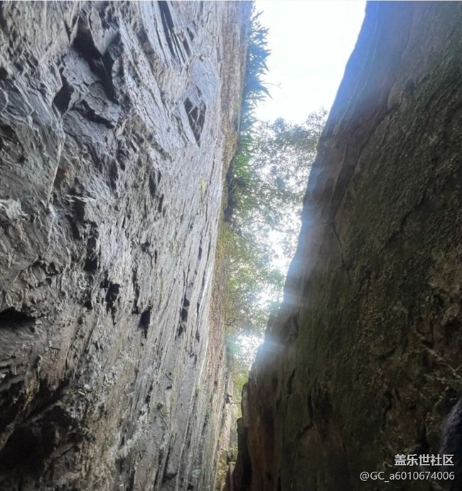 【徒步所見】去踏青