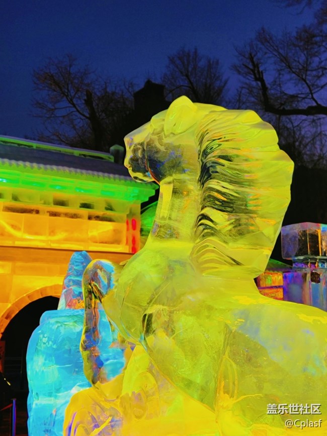 【活動(dòng)回顧】華燈初上 兆麟公園賞冰燈活動(dòng)回顧