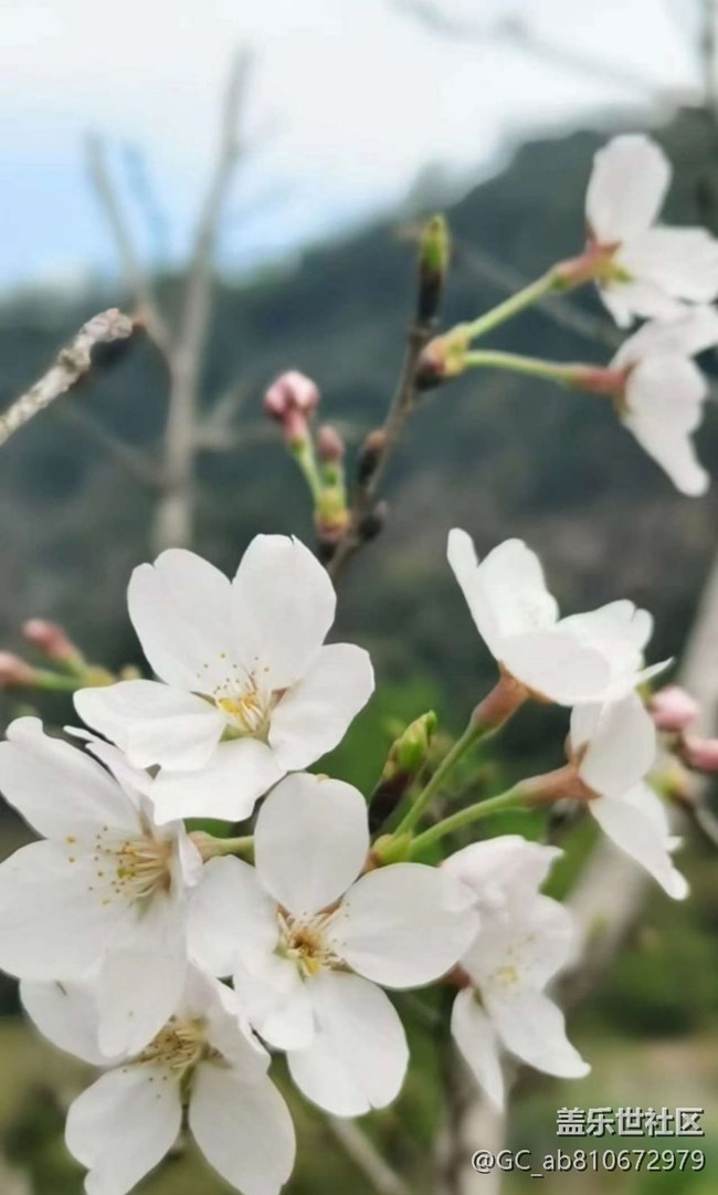 【徒步所見】滿園春色