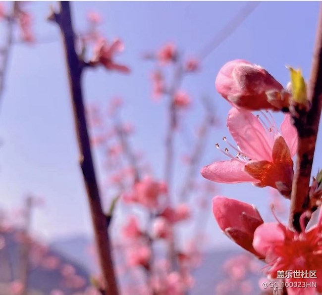 【徒步所見(jiàn)】周末