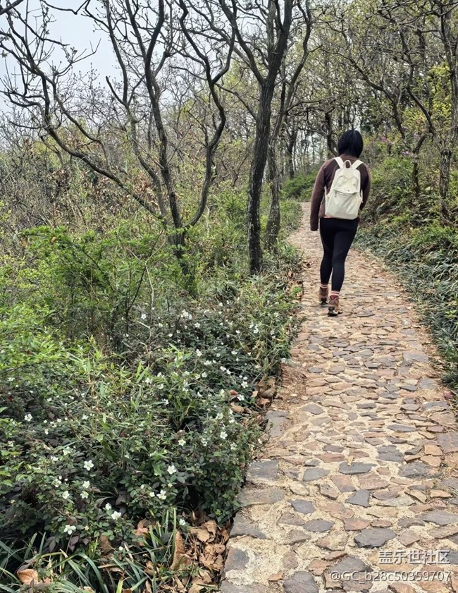 【徒步所見】爬爬山