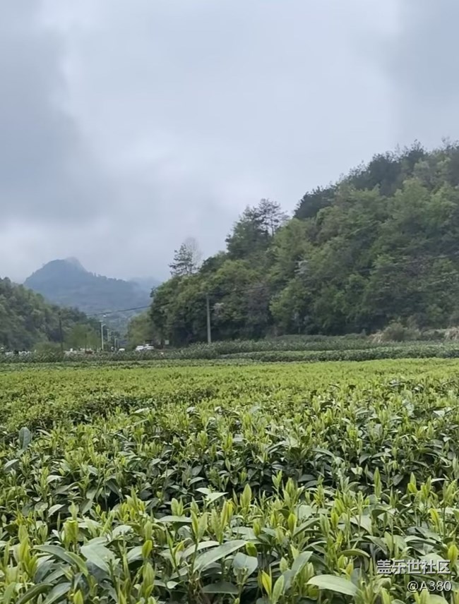 【徒步所見】春意盎然