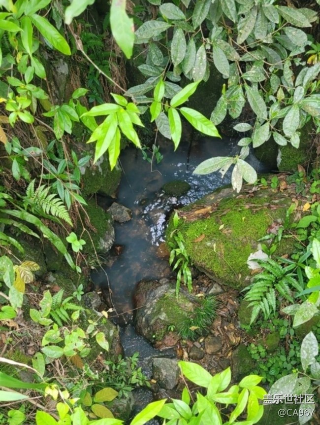 【徒步所見】自然風(fēng)光