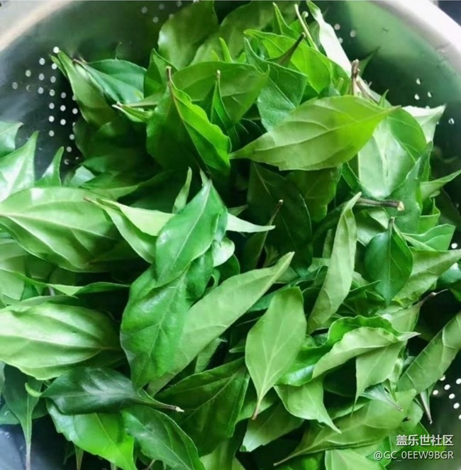 【一口春味】綠豆腐