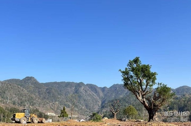 【徒步所見】植樹