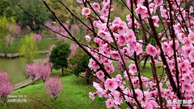 湖北十堰秦巴植物園